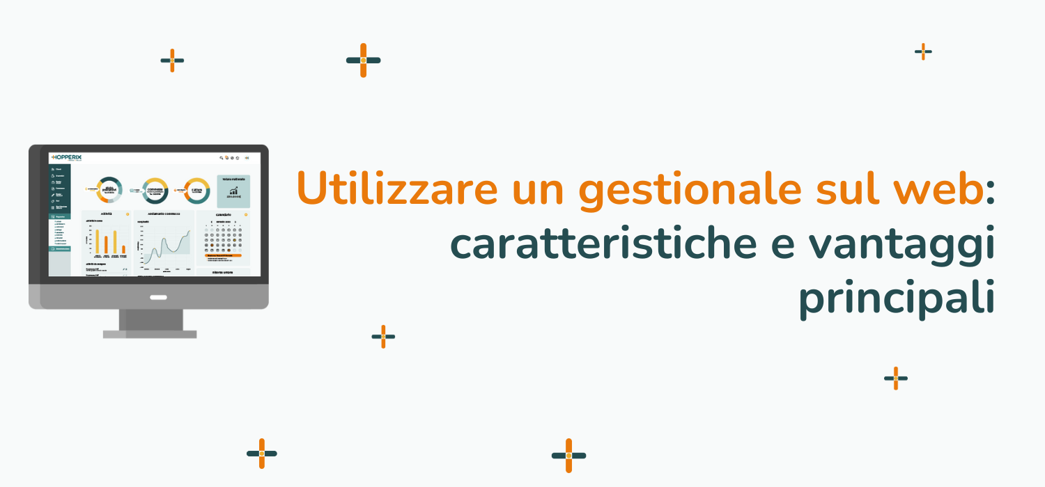 utilizzare gestionale sul web